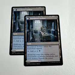 [X2] - Waterlogged Teachings Inundated Archive - Regular #261 NM MTG - Image 2