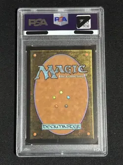 2006 MTG Niv-Mizzet the Firemind Japanese Foil PSA 8 Guildpact First Edition - Image 2