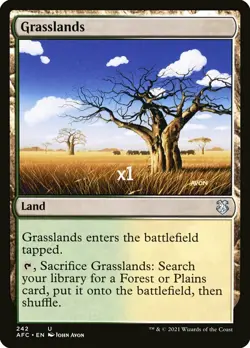 MTG Commander: Adventures in the Forgotten Realms AFC Grasslands MINT - Image 1