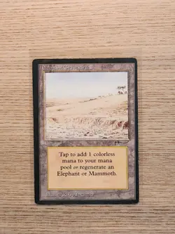 Magic The Gathering MTG Elephant Graveyard 1993 Arabian Nights MP - Image 1