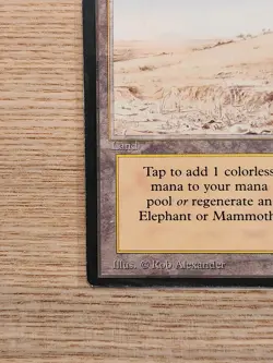 Magic The Gathering MTG Elephant Graveyard 1993 Arabian Nights MP - Image 2