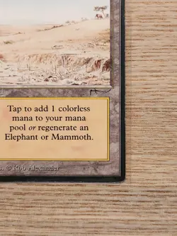 Magic The Gathering MTG Elephant Graveyard 1993 Arabian Nights MP - Image 3