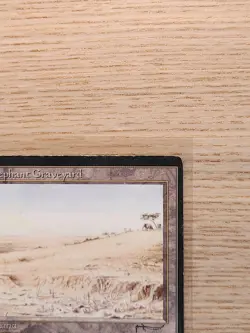 Magic The Gathering MTG Elephant Graveyard 1993 Arabian Nights MP - Image 4