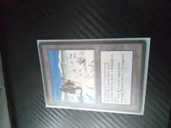 MTG Adarkar Wastes Ice Age Regular LP - Image 3