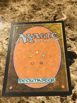 LIGHTWIELDER PALADIN Magic MTG M10 Core Set LP - Image 2