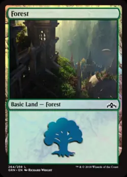 Forest -Foil Near Mint MTG Guilds of Ravnica - Image 1