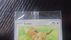 Pokemon Pikachu and Eevee Pokemon Together Promo Cards Set - Image 3