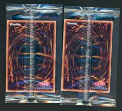 2023 Yu-Gi-Oh! Jpn World Champ Attendance Cards w/ Envelope Dark Magician Girl - Image 2