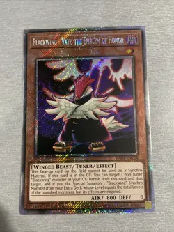 Yu-Gi-Oh! Blackwing - Vayu The Emblem of Honor RA03-EN224 Platinum Secret Rare M - Image 1
