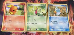 Pokemon Jumbo Card Lot - (Hoenn) (Treecko, Torchic, Mudkip)- 25th Celebrations E - Image 1