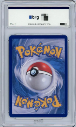 2021 KOREAN POKEMON CARD BLUE SKY STREAM FULL ART/RAYQUAZA V 10 GEM MINT - Image 4
