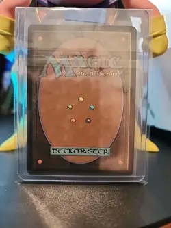 MTG - Icetill Explorer (Extended Art Foil) - Edge of Eternities NM/M Condition - Image 2