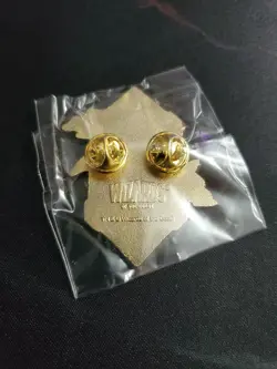 Magic Con Exclusive Mana Pin 2025 Plains New Atlanta - Image 2