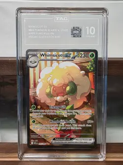 WHIMSICOTT EX SPECIAL ILLUSTRATION RARE POKEMON 2025 WHT EN-WHITE FLARE TAG 10 - Image 1