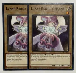 2x Space Omajinai Usagi DOOD-EN097 C Doom of Dimensions NM 1st Ed Yugioh - Image 5