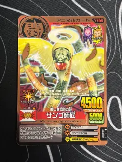 Animal Card Coral Master - Image 2