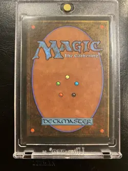 Reset (Legends) NM MTG - Image 2