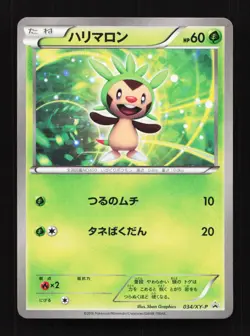 Chespin 034/XY-P XY Promo Japanese Pokemon Card TCG - Image 1