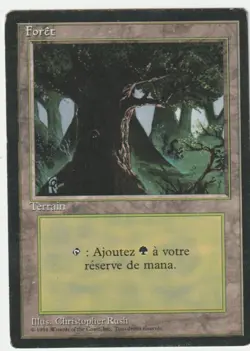 Revised Edition FBB (Foreign Black Border) Forest C Magic - Image 1