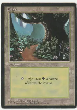 Revised Edition FBB (Foreign Black Border) Forest A Magic - Image 1
