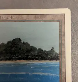 Tropical Island Revised NM BEAUTIFUL MTG Magic the Gathering! - Image 4