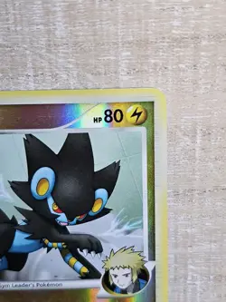 Luxray GL 9/111 Rising Rivals Reverse Holo Rare Pokemon Card TCG - Image 4
