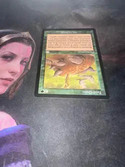 🟢 MTG Food Chain - Mercadian Masques 1999 - NM - Rare Enchantment! - Image 4