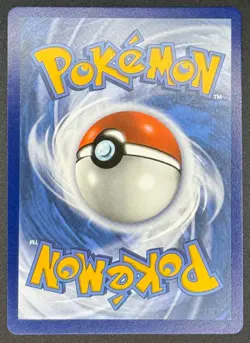 Morpeko V-Union SWSH287 / 288 / 289 / 290 Pokemon TCG Black Star Promo SET NM - Image 3