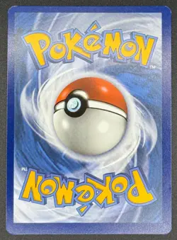 Morpeko V-Union SWSH287 / 288 / 289 / 290 Pokemon TCG Black Star Promo SET NM - Image 5