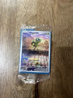 Teal Mask Ogerpon 123 Promo Black Star SEALED w/ Dividers Pokemon TCG - Image 1