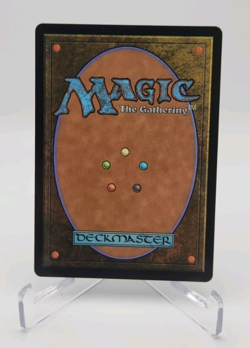Call the Spirit Dragons (Showcase) - Foil - Tarkir: Dragonstorm - MTG - #0317 - Image 2