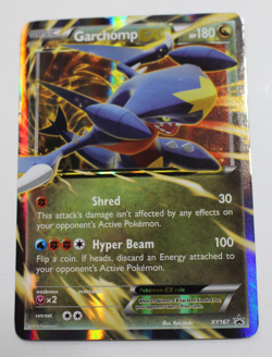 Garchomp, EX, XY167, XY Black Star Promo Holo Pokemon+extra cards - Image 1
