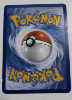 Garchomp, EX, XY167, XY Black Star Promo Holo Pokemon+extra cards - Image 2