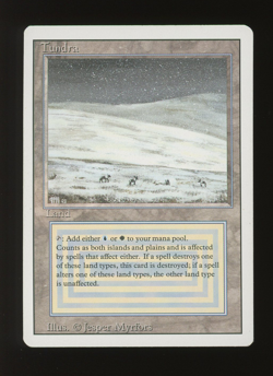 Tundra - MTG Revised Edition - RareCo - Image 1