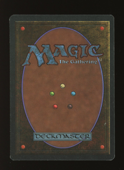 Tundra - MTG Revised Edition - RareCo - Image 2
