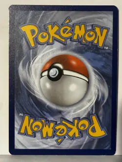 Chewtle Reverse Holo 060/202 SWSH01: Sword & Shield Base Set NM Pokemon Fast Shi - Image 2