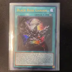 Yugioh! - Black Rose Garden - DOOD-EN055 - Ultra Rare - 1st Ed. - NM/M - Image 1
