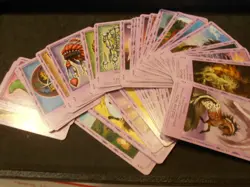 Bella Sara Native Lights 55 card lot regular complete common and rare set - Image 1