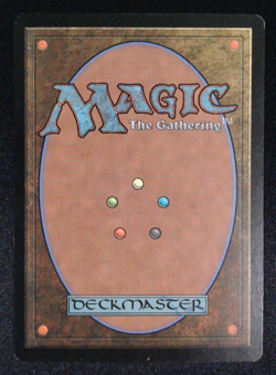 Hall of the Bandit Lord - Champions of Kamigawa - LP MTG - Image 2