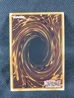 Foolish Burial YUGIOH LDK2-ENJ29 Common Spell Card NM Never Played Spell CCG TCG - Image 4