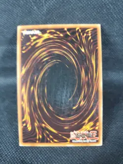 Petition Angel LDD-S025 Common 1st Edition Spanish NM-VLP YuGiOh! TCG SEE PICS - Image 4