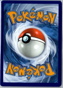 Machamp - (Prerelease) Promo SWSH: Sword & Shield Promo Cards SWSH243 NM - Image 2