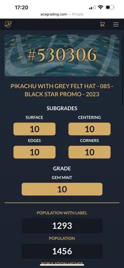Pikachu With Grey Felt Hat | Van Gogh Museum Promo | Perfect Ace 10 Subgrades - Image 3