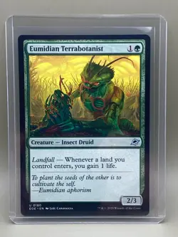 EUMIDIAN TERRABOTANIST #0180 Edge Of Eternities MTG UNCOMMON Card Near Mint - Image 1