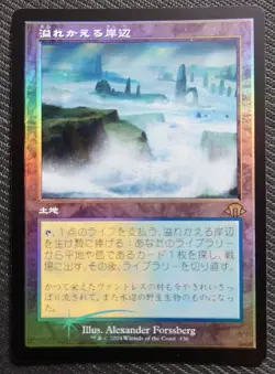 mtg domestic plebeian overflowing shore old frame FOIL Japanese version mh3 - Image 1