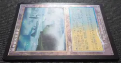 mtg domestic plebeian overflowing shore old frame FOIL Japanese version mh3 - Image 2