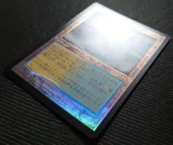 mtg domestic plebeian overflowing shore old frame FOIL Japanese version mh3 - Image 3