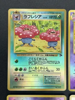 Holo Complete Southern Islands Collection File 6Set Rainbow Tropical Pokemon - Image 4