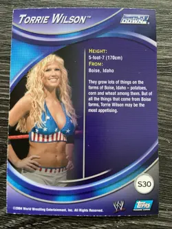 Card Topps WWE RAW Apocalypse Smack Down 2004 - S30 - Torrie Wilson - Image 2