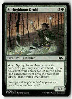 SPRINGBLOOM DRUID #181 (COMMON) MTG MODERN HORIZONS - Image 1